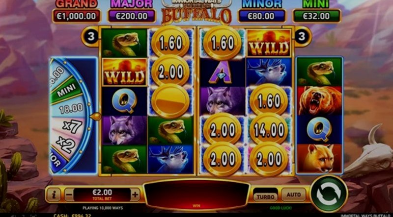 Play Immortal Ways Buffalo by Rubyplay at 1Win Casino