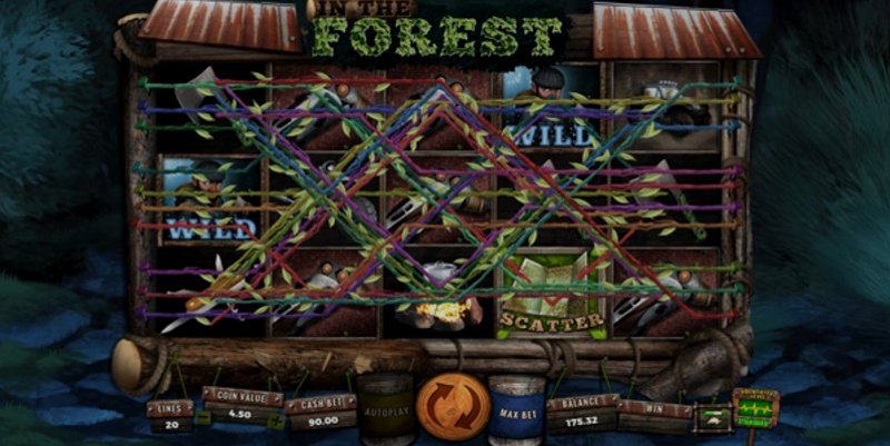 Play In The Forest by Wazdan at 1Win Casino