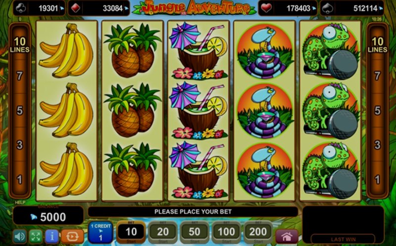 Play Jungle Adventure by Amusnet at 1Win Casino