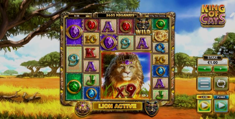 Play King of Cats by Big Time Gaming at 1Win Casino