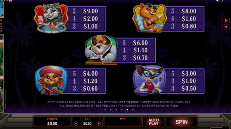 Play Kitty Cabana by Microgaming at 1Win Casino