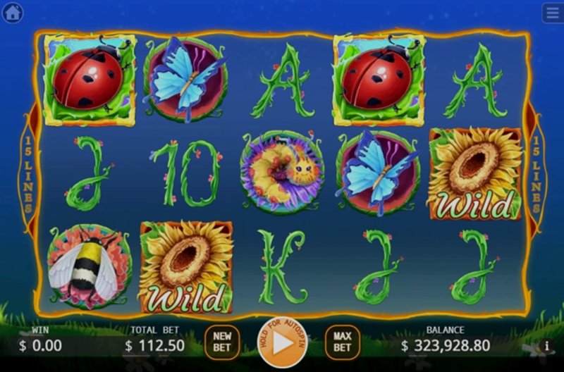 Play Lady KAKA by Kaga at 1Win Casino