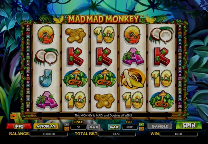 Play Mad Monkey by Barbara Bang at 1Win Casino