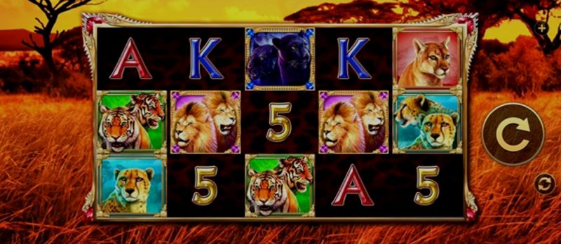 Play Majestic Cats by High5 at 1Win Casino