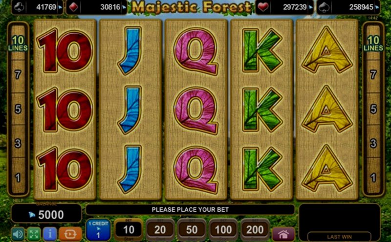 Play Majestic Forest by Amusnet Interactive at 1Win Casino