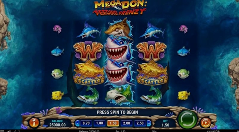 Play Mega Don by Playn Go at 1Win Casino