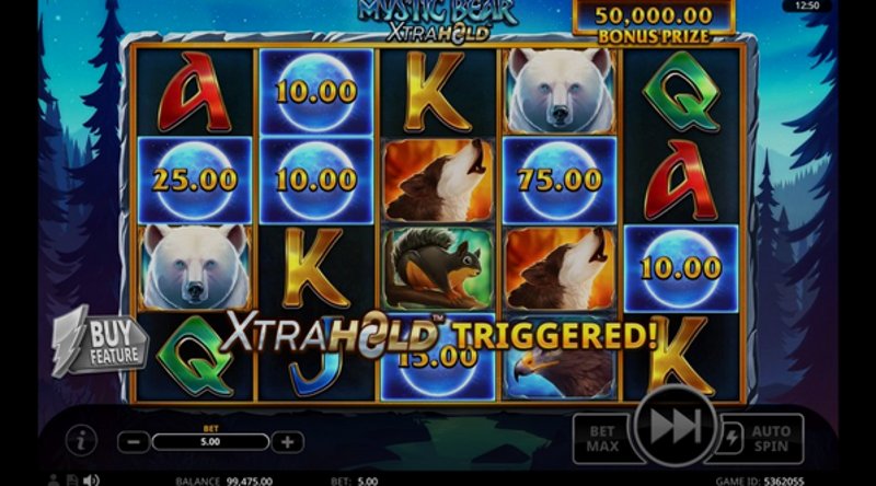 Play Mystic Bear XtraHold by Swintt at 1Win Casino