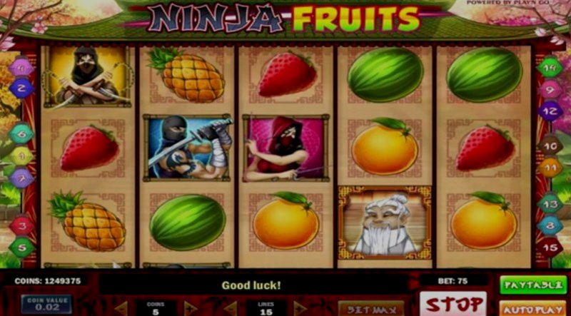 Play Ninja Fruits by Playn Go at 1Win Casino