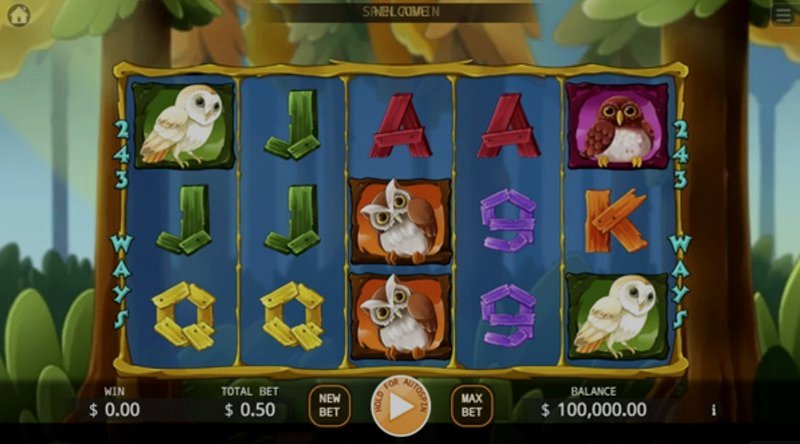 Play Owl In Forest by Kaga at 1Win Casino