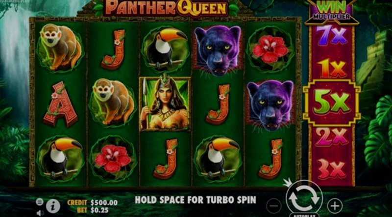 Play Panther Queen by Pragmatic at 1Win Casino