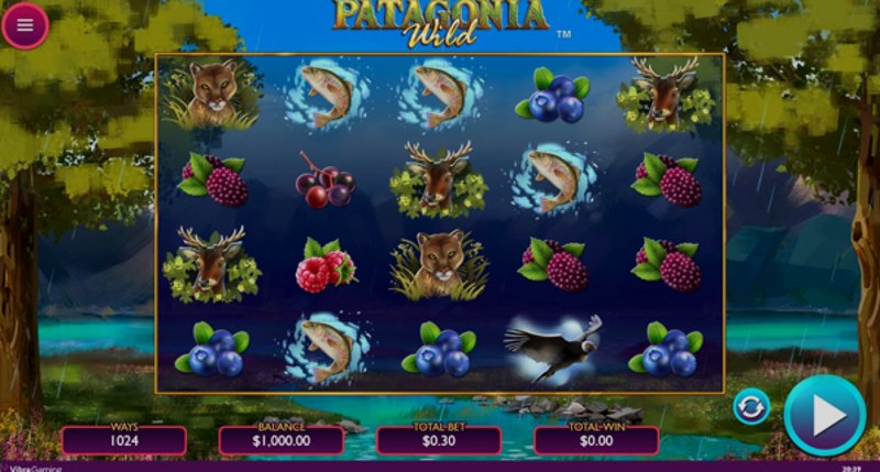 Play Patagonia Wild by Vibragaming at 1Win Casino