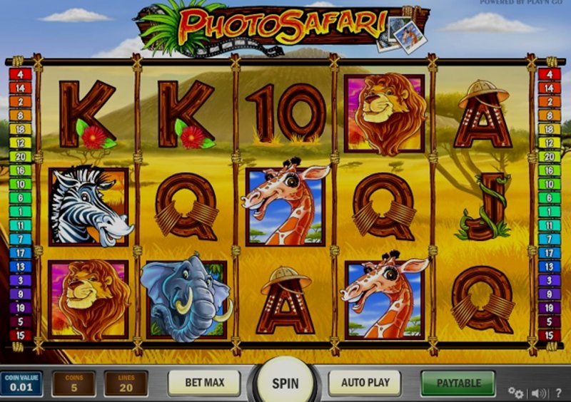 Play Photo Safari by Playn Go at 1Win Casino