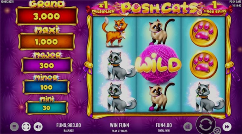 Play Posh Cats by Platipus at 1Win Casino