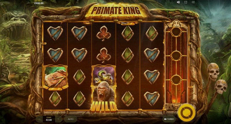 Play Primate King by Red Tiger at 1Win Casino