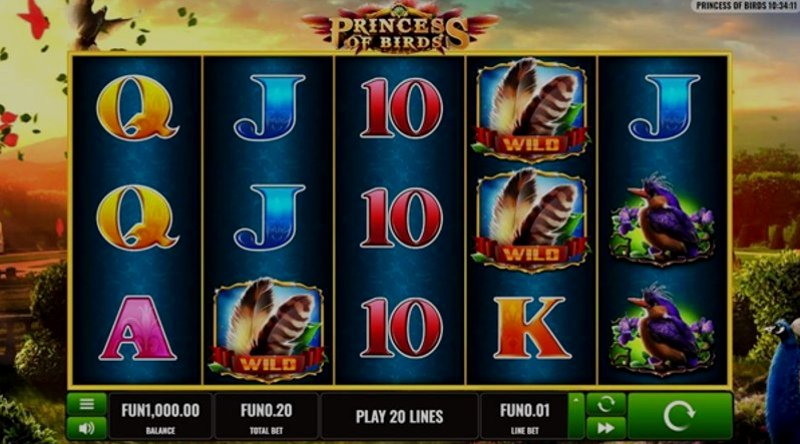 Play Princess of Birds by Platipus at 1Win Casino