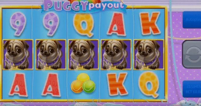 Play Puggy Payout by Eyecon at 1Win Casino