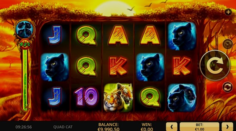 Play Quad Cat by High5 at 1Win Casino