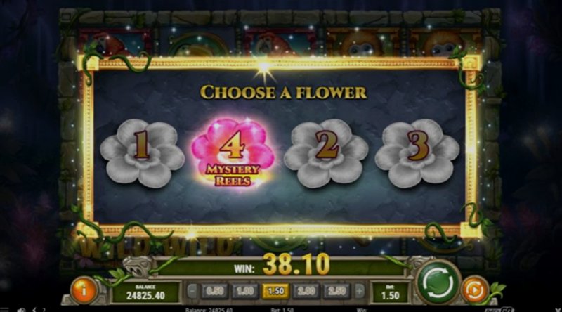 Play Rainforest Magic by Playn Go at 1Win Casino