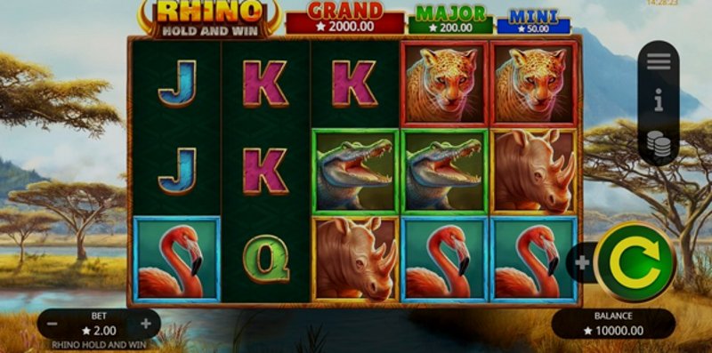 Play Rhino Hold and Win by Booming at 1Win Casino