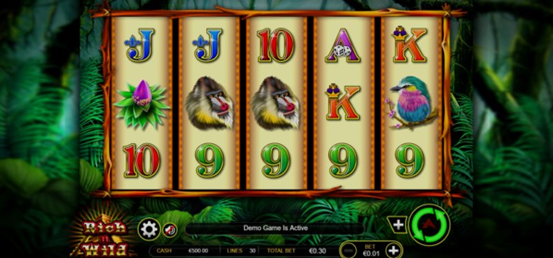 Play Rich n Wild by Ainsworthgame at 1Win Casino