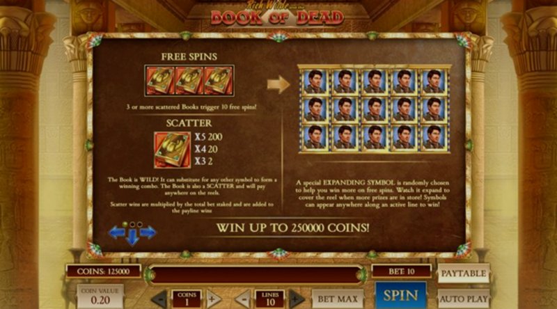 Play Book of Dead by Playn Go at 1Win Casino