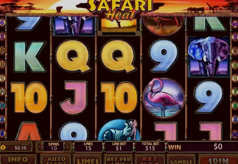 Play Safari Heat by Playtech at 1Win Casino