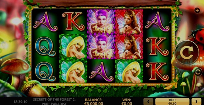 Play Secrets Of The Forest by High5 at 1Win Casino