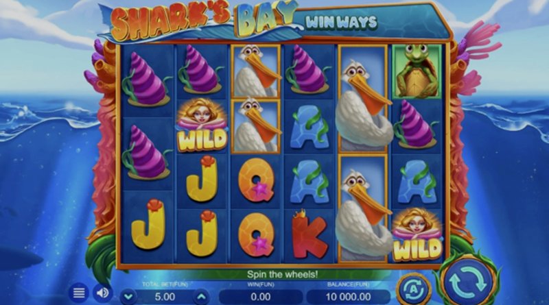 Play Sharks Bay by Zillion Games at 1Win Casino