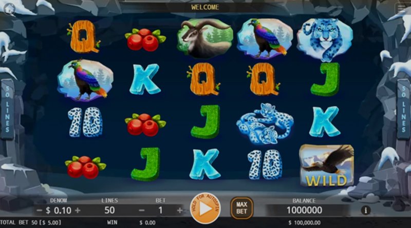 Play Snow Leopards by Kaga at 1Win Casino