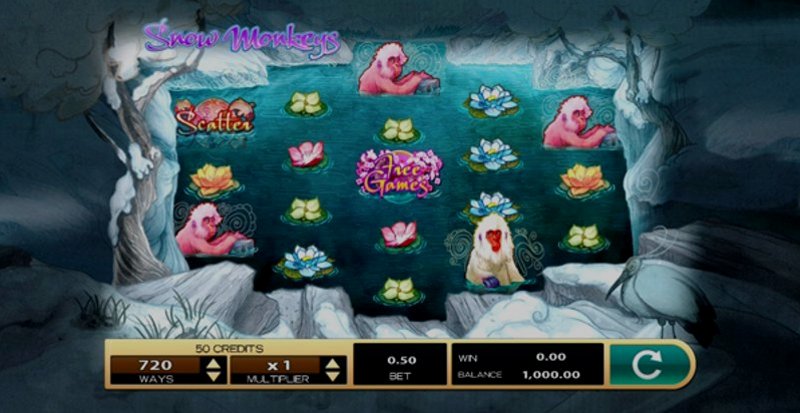 Play Snow Monkeys by High5 at 1Win Casino