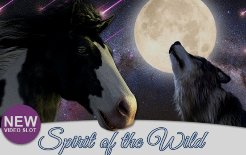 Play Spirit Of The Wild by Genii at 1Win Casino