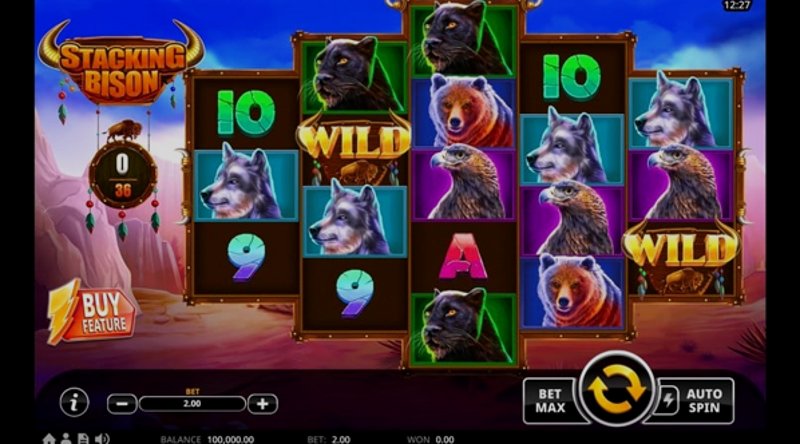 Play Stacking Bison by Swintt at 1Win Casino