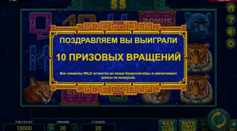 Play Super Cats by Amatic at 1Win Casino