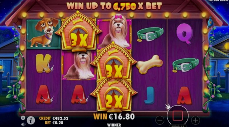 Play The Dog House by Pragmatic at 1Win Casino