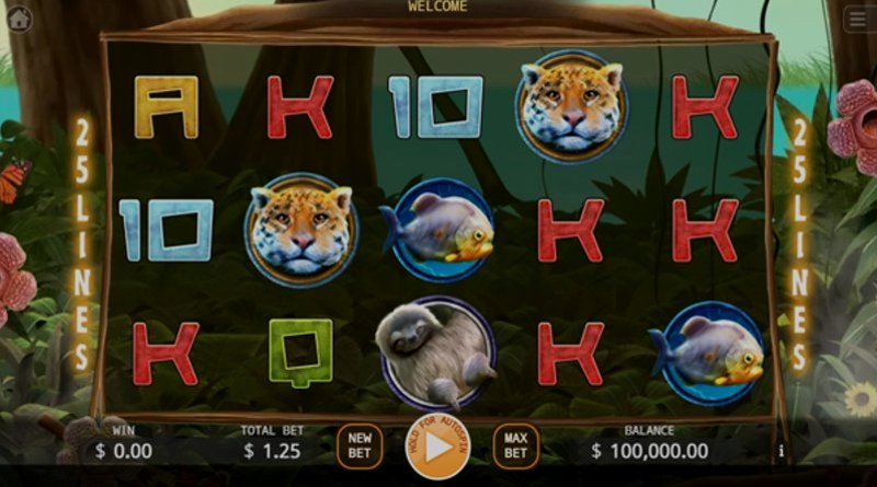 Play Primeval Rainforest by Kaga at 1Win Casino