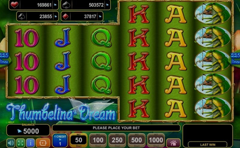 Play Thumbelinas Dream by Amusnet Interactive at 1Win Casino