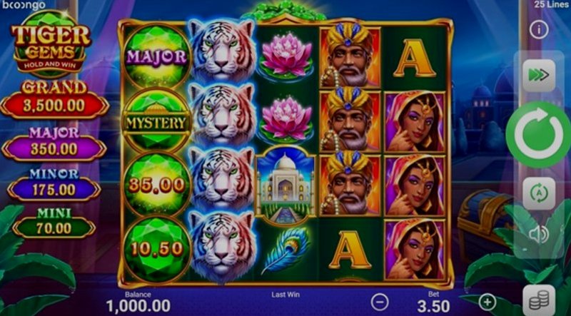 Play Tiger Gems by 3 Oaks Gaming at 1Win Casino