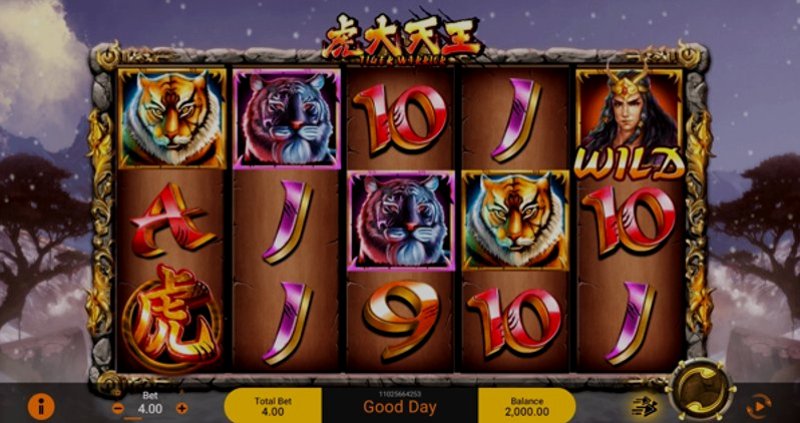 Play Tiger Warrior by Spadegaming at 1Win Casino