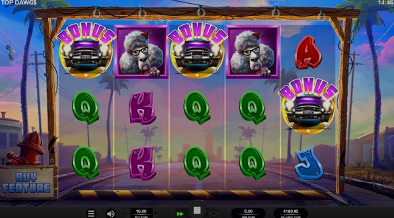 Play Top Dawg$ by Relax at 1Win Casino