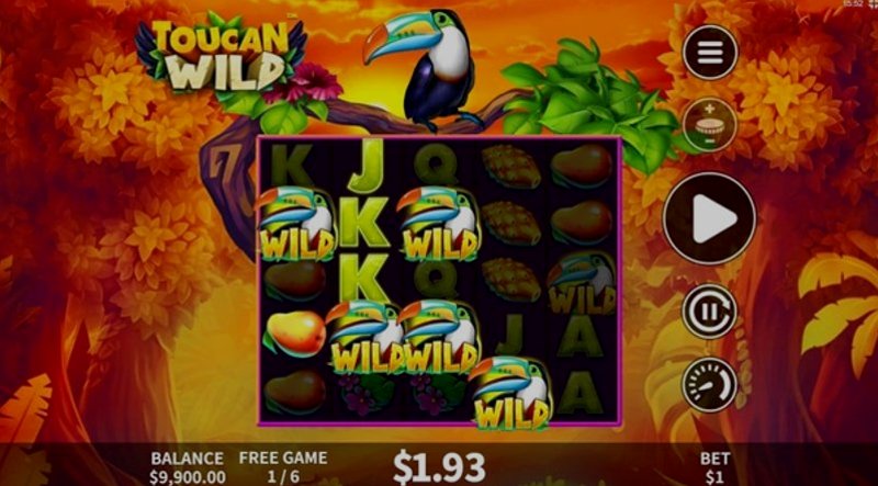 Play Toucan Wild by Skywind at 1Win Casino