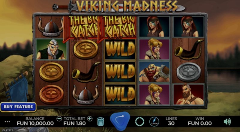 Play Viking Madness by Caleta at 1Win Casino