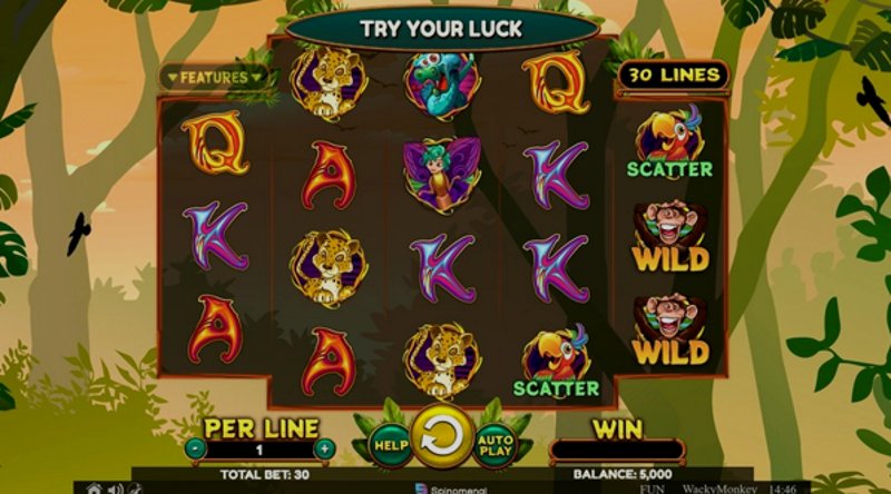 Play Wacky Monkey by Spinomenal at 1Win Casino