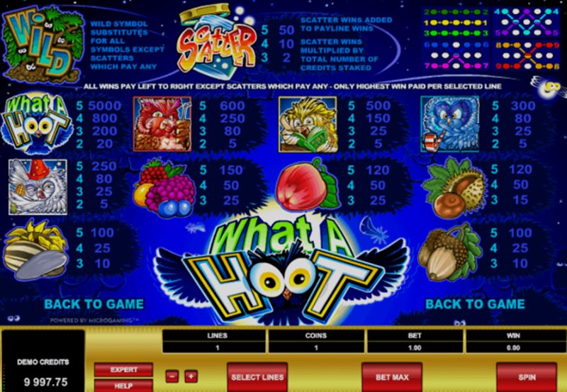 Play What A Hoot by Microgaming at 1Win Casino