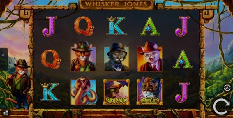 Play Whisker Jones by 1x2gaming at 1Win Casino