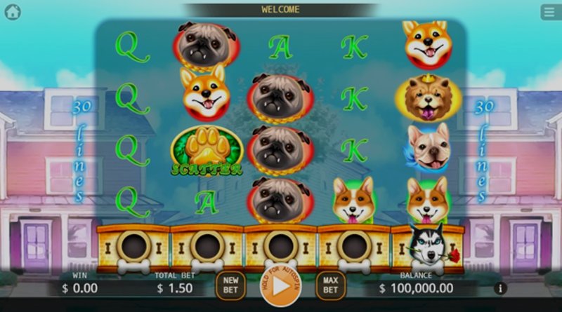 Play Who Let the Dogs Out by Kaga at 1Win Casino