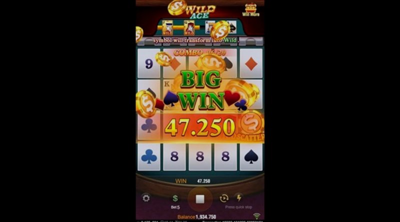 Play Wild Ace by Tadagaming at 1Win Casino