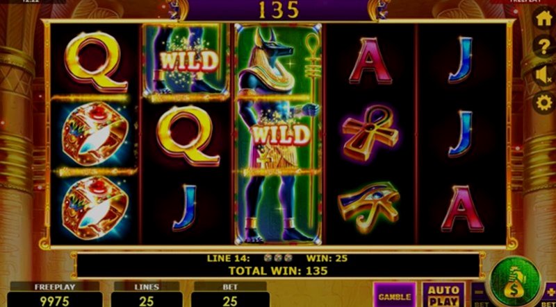 Play Wild Anubis by Amatic at 1Win Casino