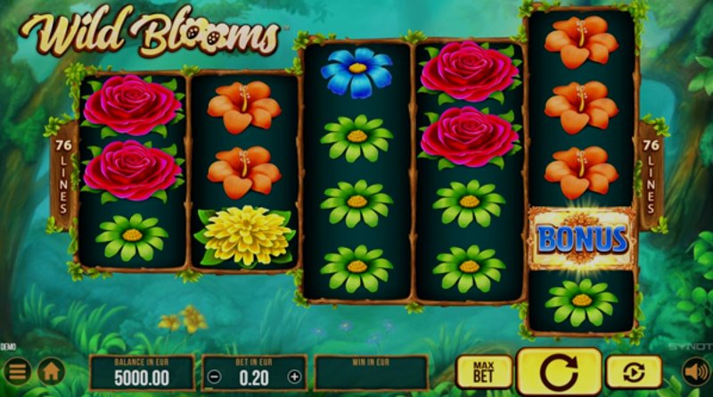 Play Wild Blooms by Synot at 1Win Casino