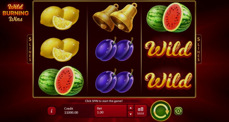 Play Wild Burning Wins: 5 lines by Playson at 1Win Casino