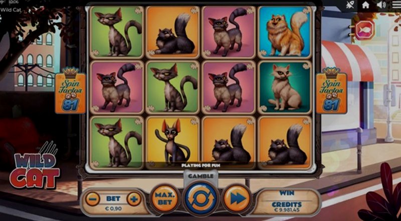 Play Wild Cat by Spinmatic at 1Win Casino